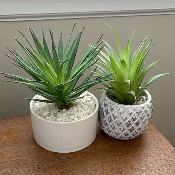 At Home Other - Lush Green Faux Mini Succulents in Chic Pots